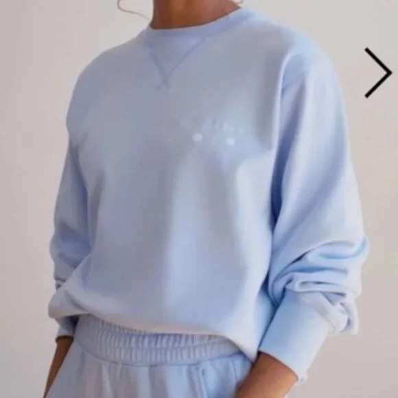 AYR All Year Round The Sweatshirt Crewneck Light Blue Small **FLAW** 100% Cotton - Picture 1 of 12